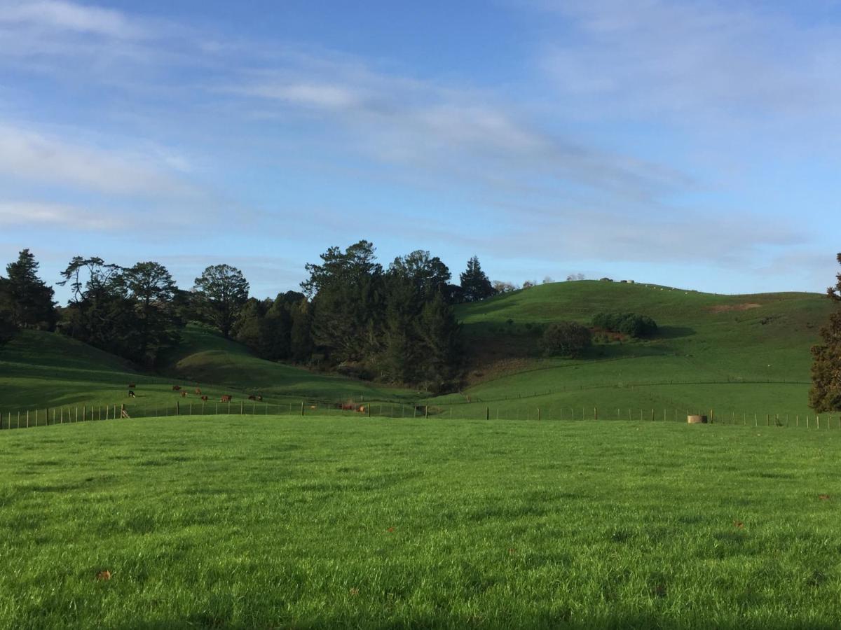 Veld View Bed And Breakfast Tuakau المظهر الخارجي الصورة