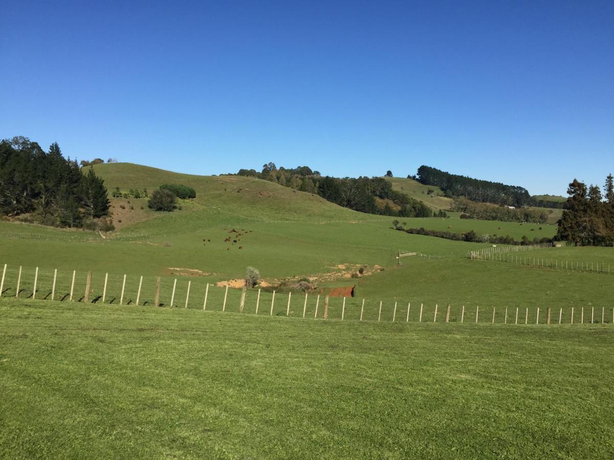 Veld View Bed And Breakfast Tuakau المظهر الخارجي الصورة
