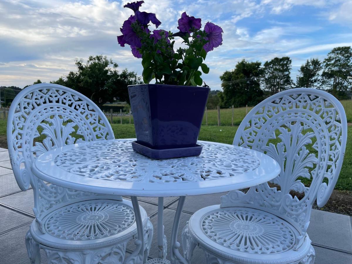 Veld View Bed And Breakfast Tuakau المظهر الخارجي الصورة