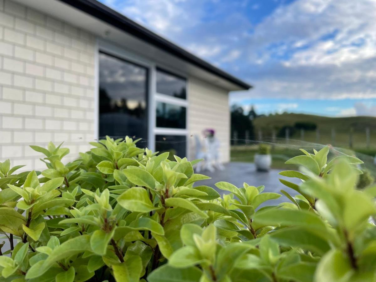 Veld View Bed And Breakfast Tuakau المظهر الخارجي الصورة